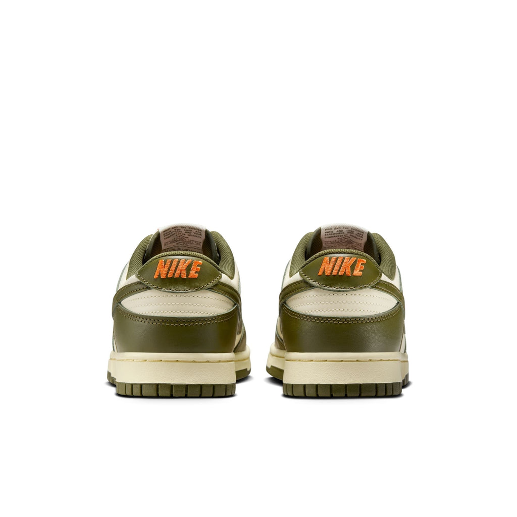 Nike Dunk Low Retro - IH0245-113